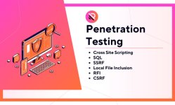 do-website-penetration-testing-with-professional-report-fa47.jpg
