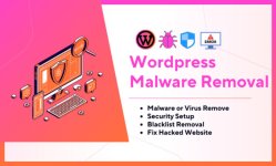 do-wordpress-malware-removal-for-your-wordpress-security.jpg