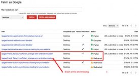 Resolved Fetch as Google Redirection Error.jpg