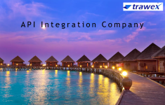 API Integration Company.png