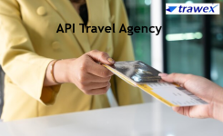 API Travel Agency.png