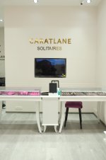 Caratlane 2.jpg