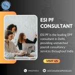 ESI PF consultant In Delhi.jpg
