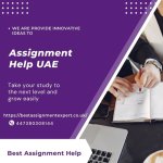 Assignment Help UAE.jpg