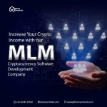 Crypto MLM (Bs).jpg