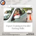 Expert Training in Parallel Parking Skills.jpg