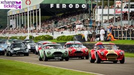 Goodwood Revival.jpeg