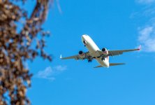 airline 5.jpg