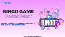 Bingo Game Development (1).png