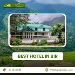 Best Hotel in Bir.jpg