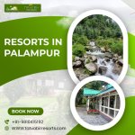 Resorts In Palampur.jpg
