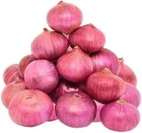 Onion.jpeg