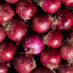 onion 1.jpeg