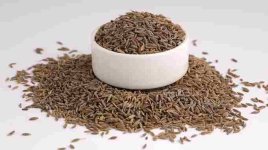Cumin seeds 2.jpg