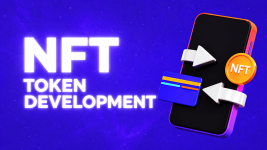 NFT Token Development Micro Blog (1).png