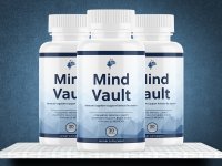mindvault.jpg