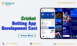 cricket betting app development cost.jpg