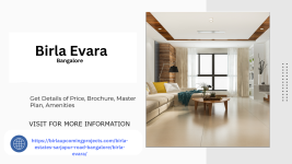 Birla Evara.png