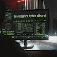 Cyber Crime Investigators