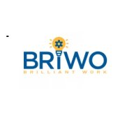 briwosolutions